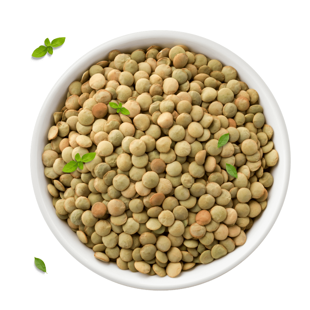 laird lentils