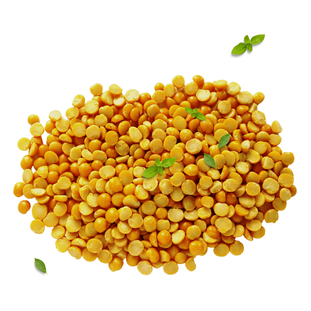 split yellow peas